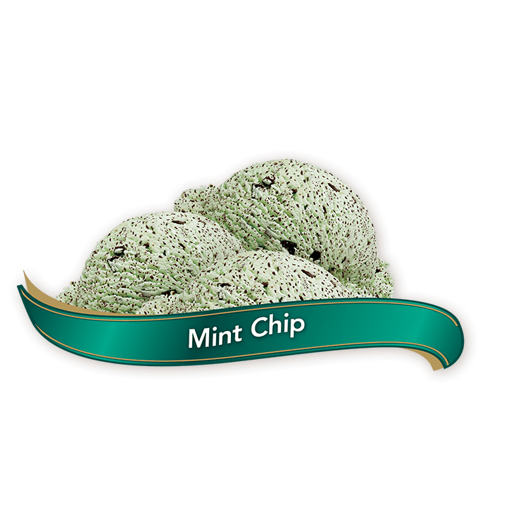 Mint Chip Ice Cream - 11.4 L Tub Chapman's Ice Cream