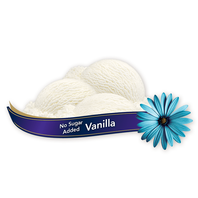 chapman's no sugar added lactose free vanilla ice cream